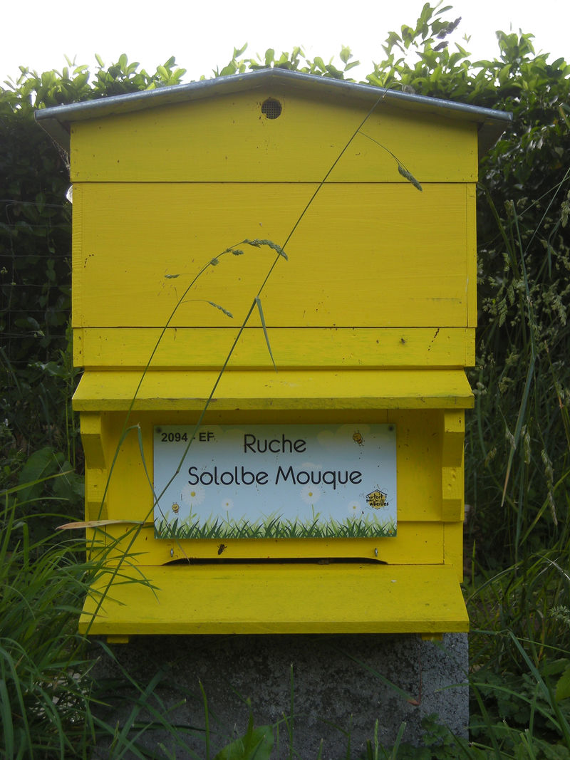 La ruche Sololbe Mouque